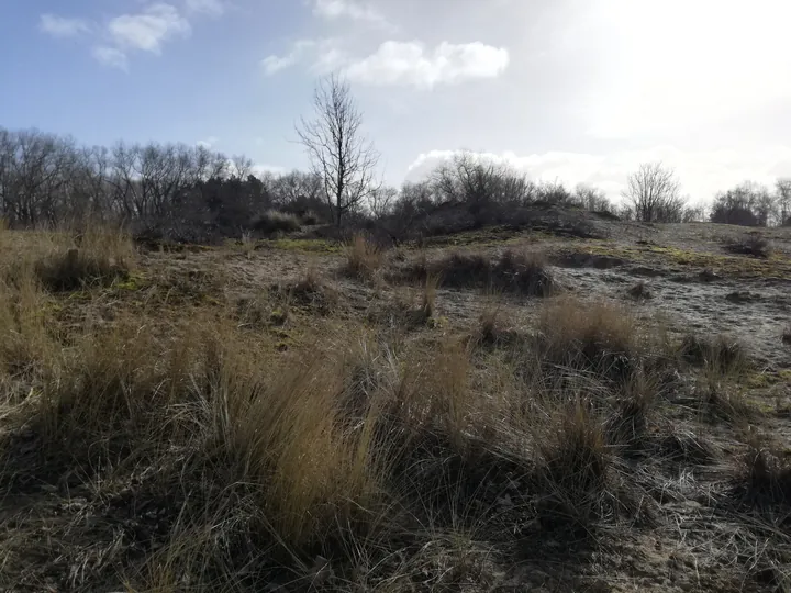 De Panne (België)